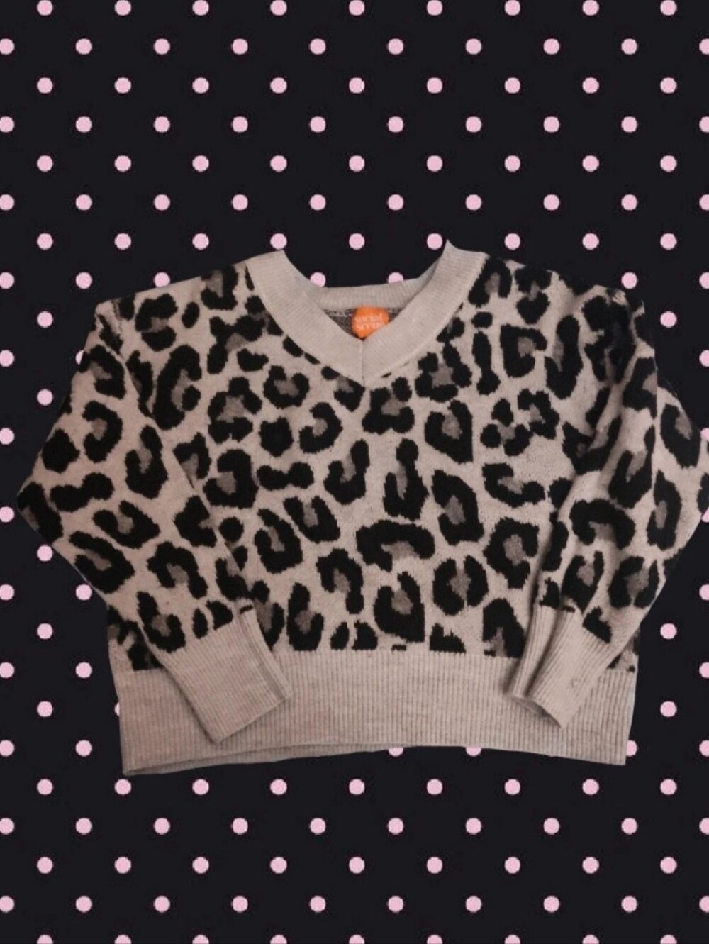 Leopard Print V-Neck Sweater - White & Black